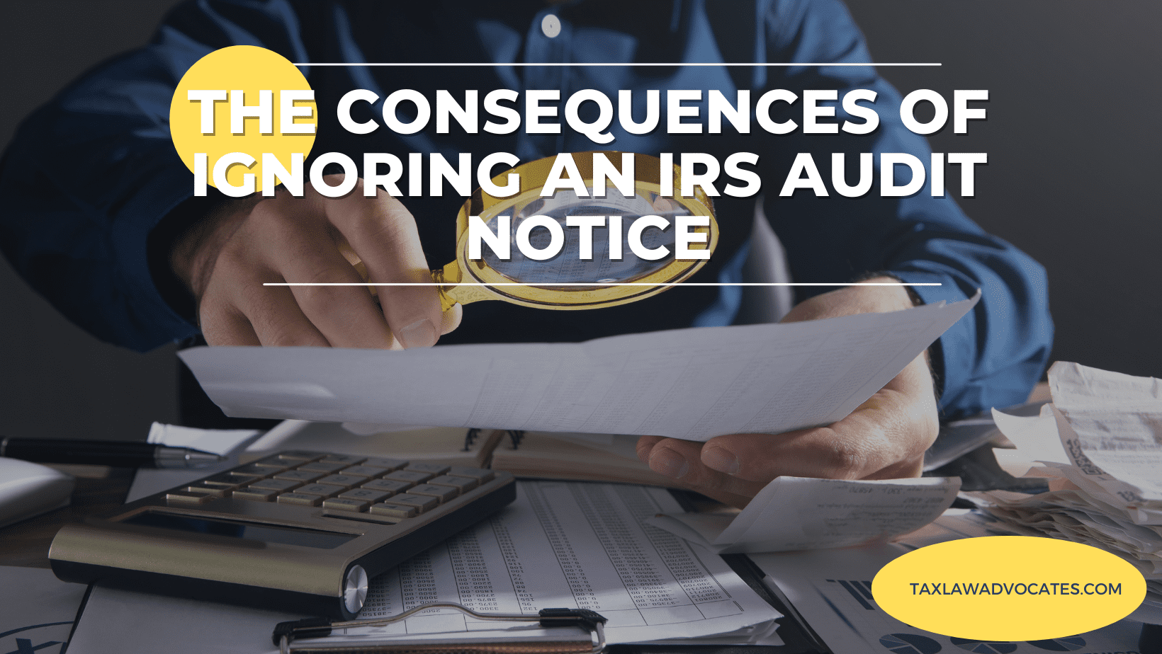 IRS Audit